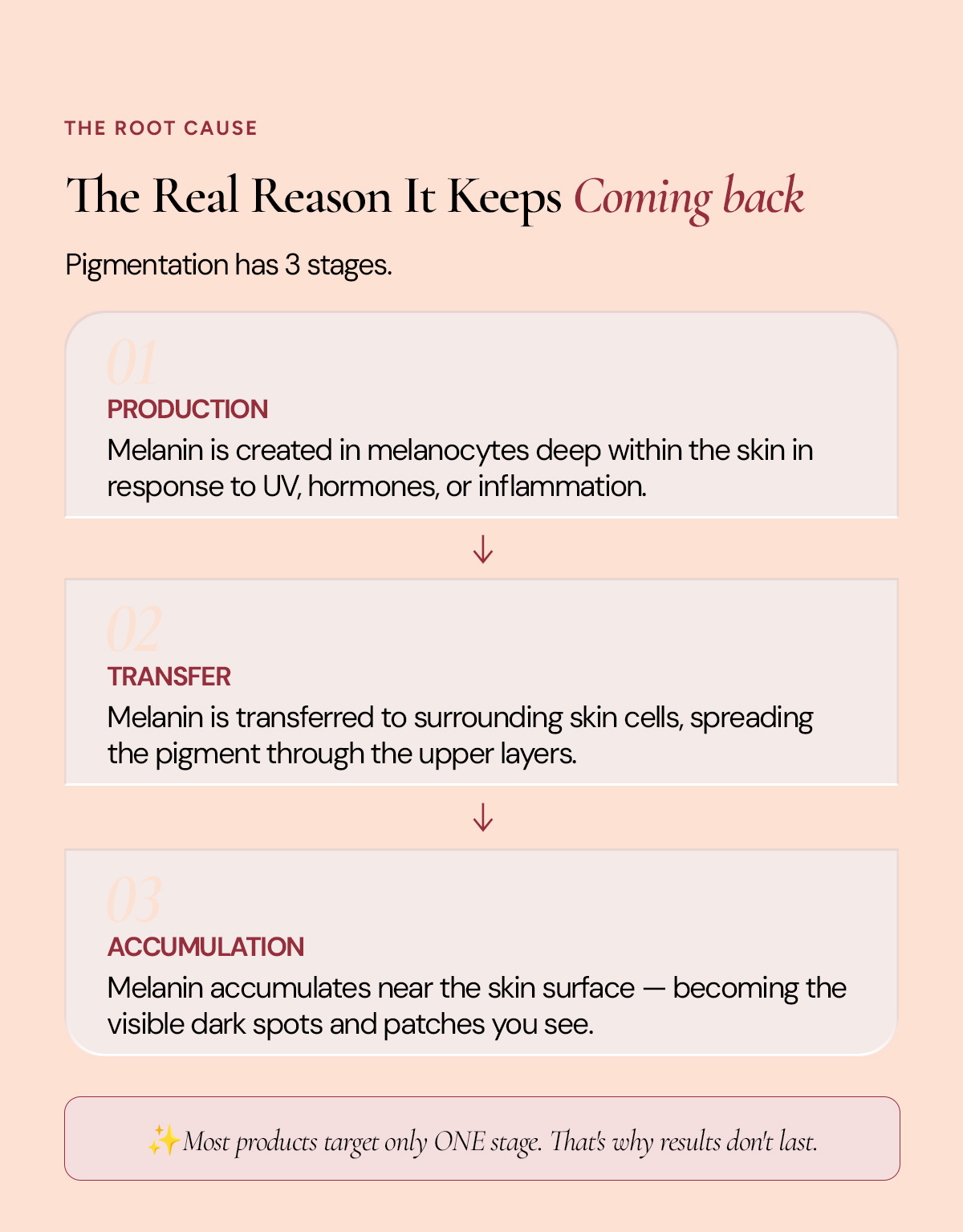 The real reason it keeps coming back section